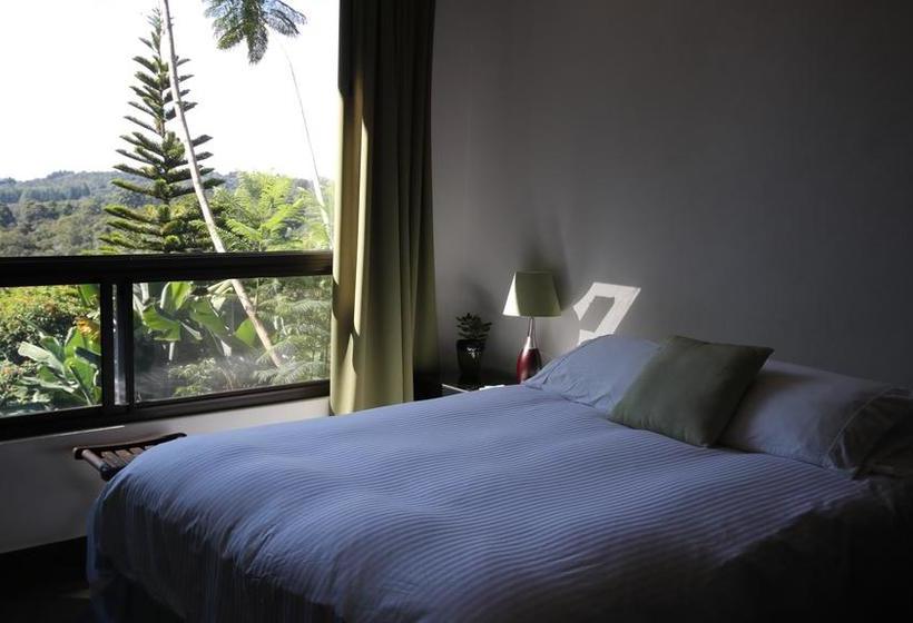 Bed and Breakfast The Guest Suites At Manana Madera | Boquete | Chiriqui | Hôtels au Panamá 6