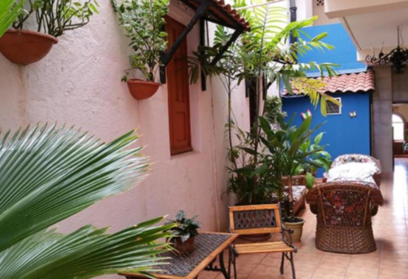 Hotel Rex | Chitré | Herrera | Panamá 12