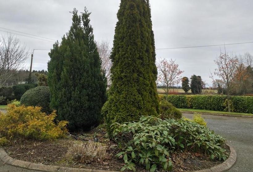 Hawthorn B&b | Athy | Kildare | Irlanda 10