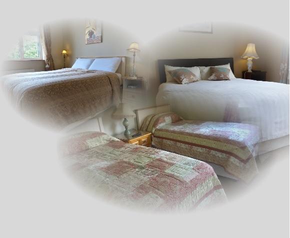 Hawthorn B&b | Athy | Kildare | Irlanda 13