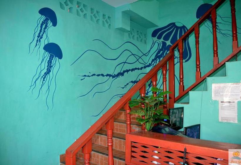 Hotel Bocas Reef | Bocas del Toro | Bocas del Toro | Panamá 3