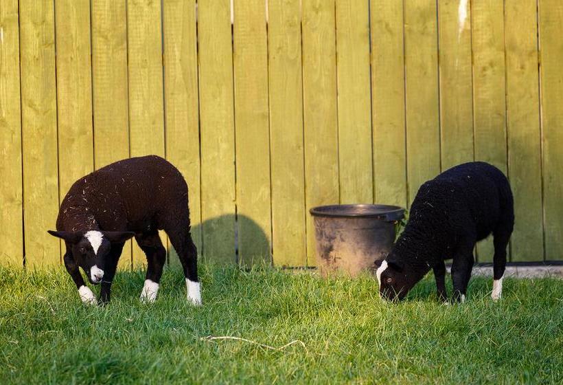 Tower View B&b | Dingle | Kerry | Ireland 10
