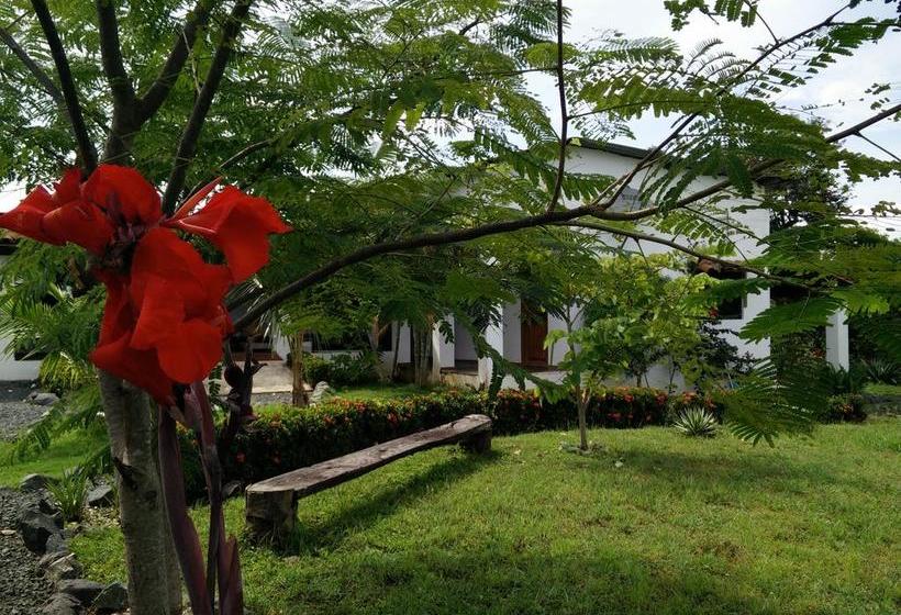 Dejavu B&b | Pedasí | Los Santos | Panamá 2