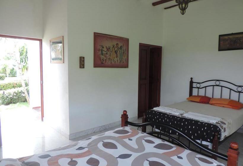 Dejavu B&b | Pedasí | Los Santos | Panamá 6