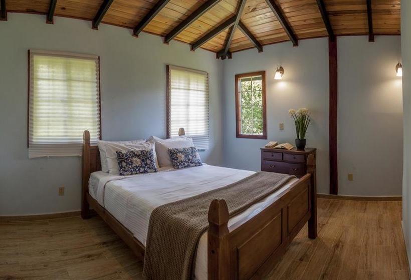 Casa Azul Bed & Breakfast | Boquete | Chiriquí | Panamá 5