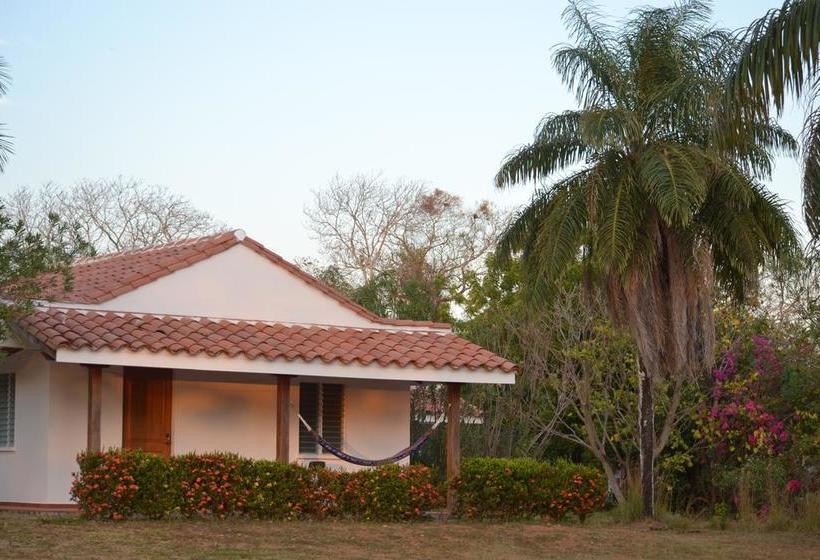 Ride And Kite B&b | Pedasí | Los Santos | Panamá 1