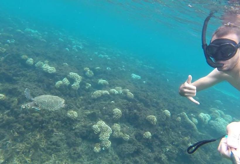 Ride And Kite B&b | Pedasí | Los Santos | Panamá 19