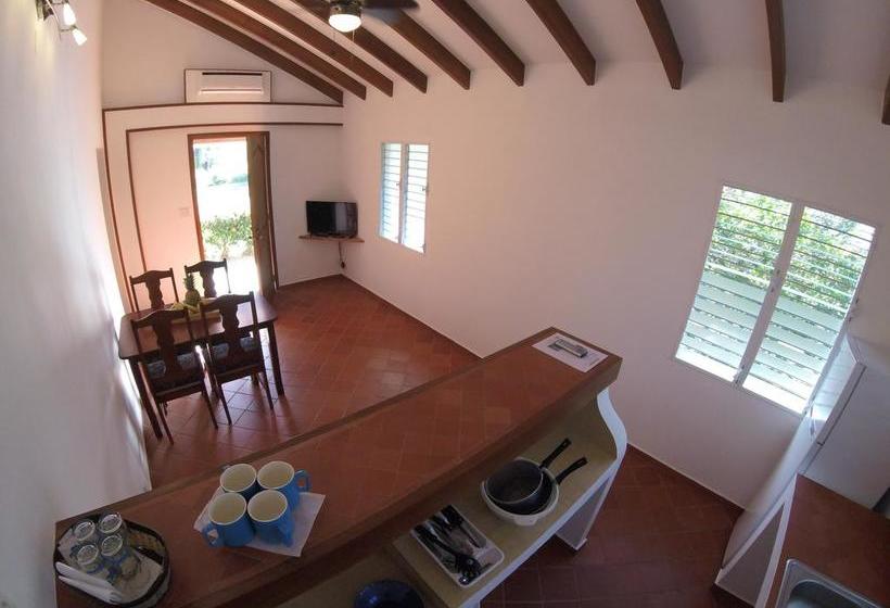 Ride And Kite B&b | Pedasí | Los Santos | Panamá 8