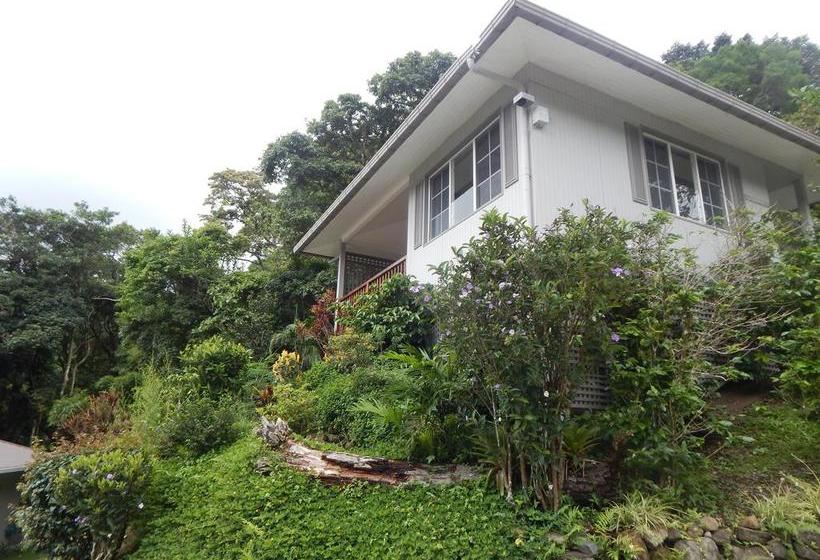 Resort The Coffee Estate Inn | Boquete | Chiriquí | Panamá 1