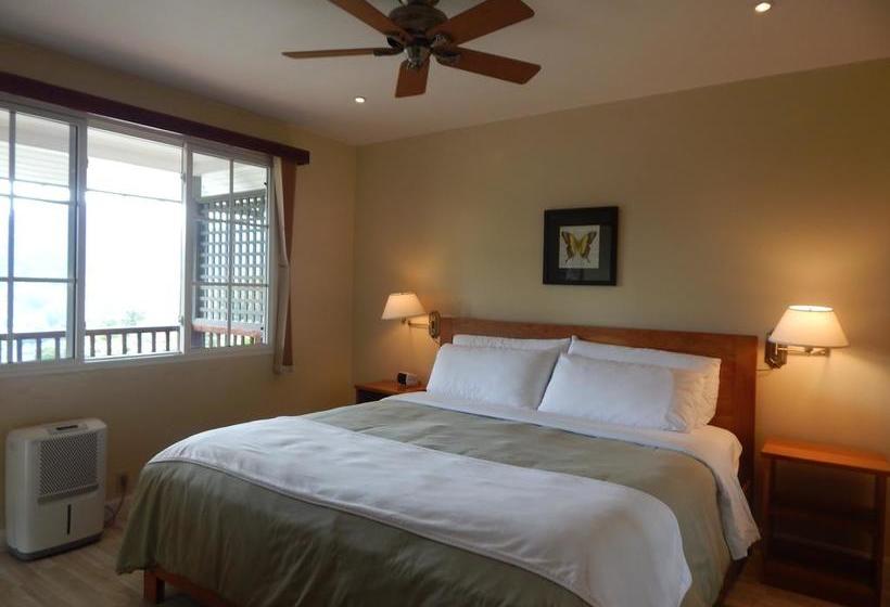 Resort The Coffee Estate Inn | Boquete | Chiriquí | Panamá 18