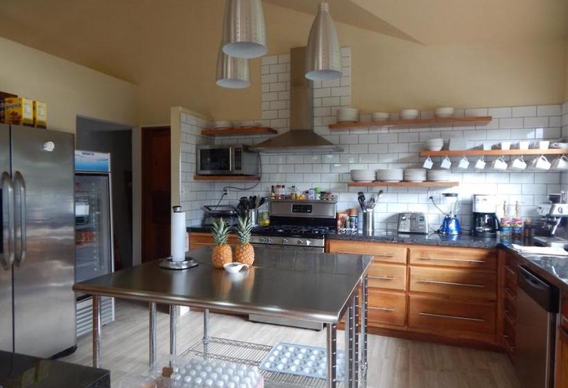 Resort The Coffee Estate Inn | Boquete | Chiriquí | Panamá 2