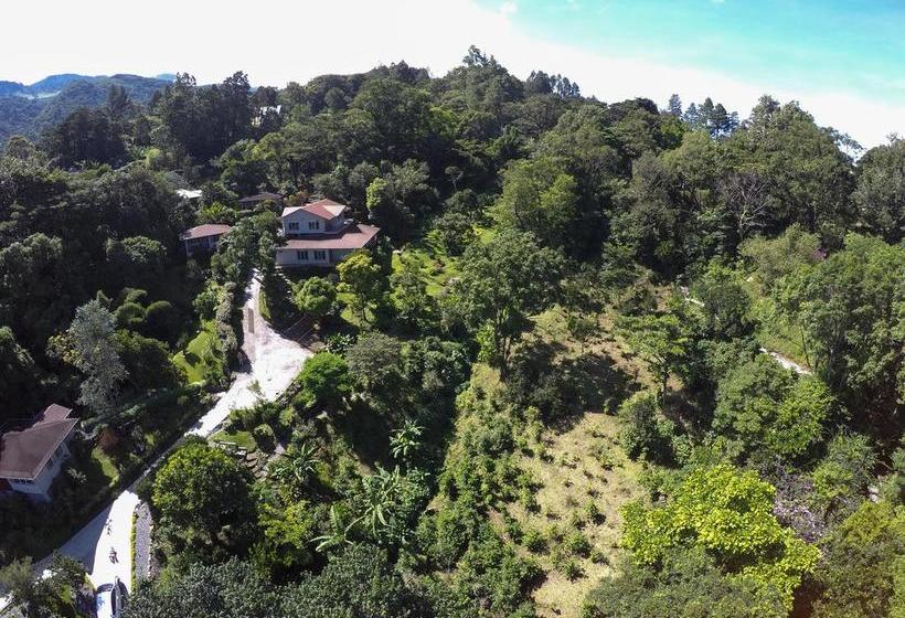 Resort The Coffee Estate Inn | Boquete | Chiriquí | Panamá 4