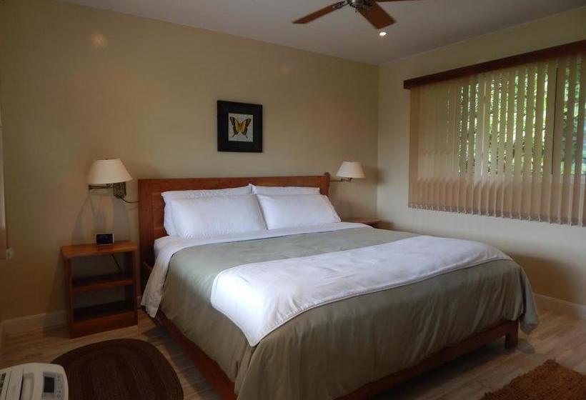 Resort The Coffee Estate Inn | Boquete | Chiriquí | Panamá 7