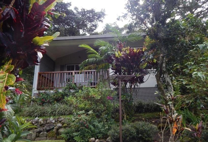 Resort The Coffee Estate Inn | Boquete | Chiriquí | Panamá 8