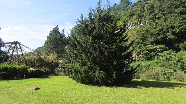 Auberge Hôtelière Hospedaje Familiar Doña Tita | Boquete | Chiriqui | Hôtels au Panamá 14