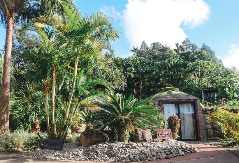 Albergue Bambuda Castle | Boquete | Chiriquí | Panamá 16