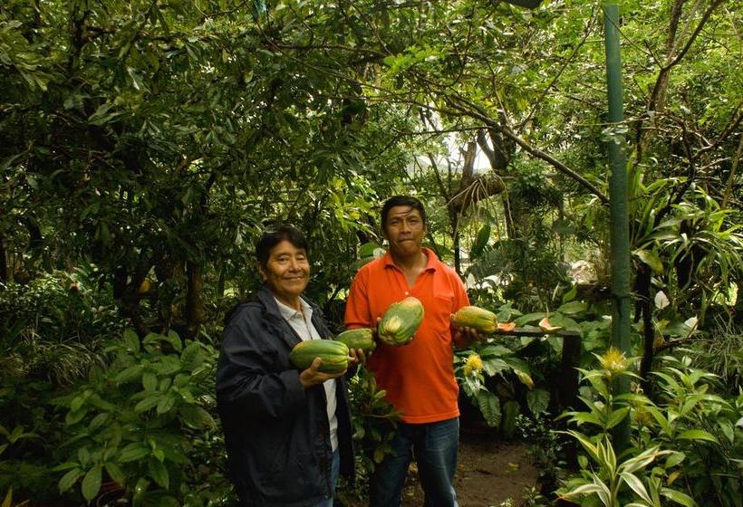 Albergue Hostal Orquidea Coclé
