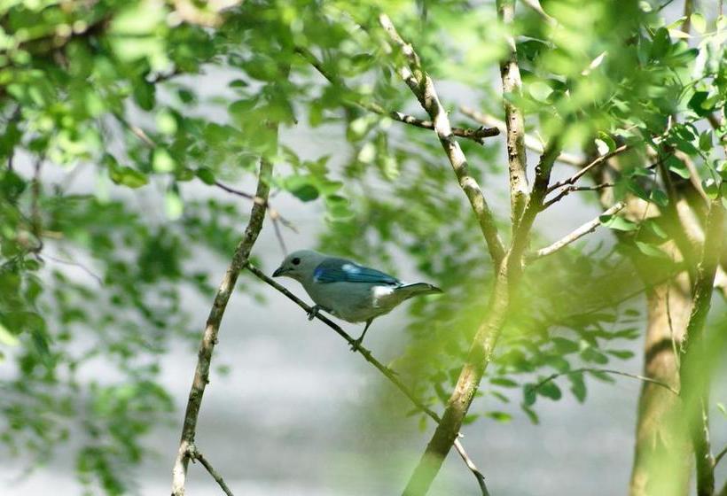 Albergue Hostal Orquidea | El Valle de Anton | Coclé | Panamá 1