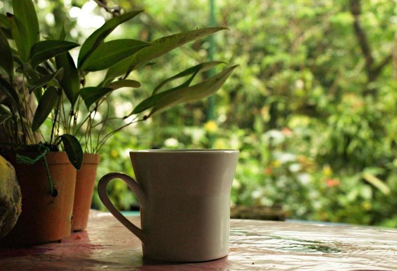 Albergue Hostal Orquidea | El Valle de Anton | Coclé | Panamá 9