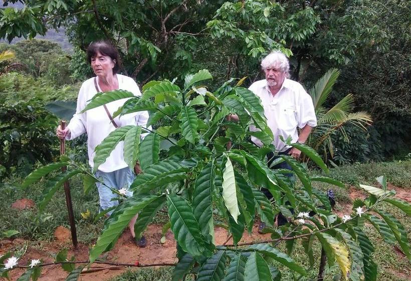 Hotel Rainforest Yasmin | Santa Fe | Veraguas | Panamá 15