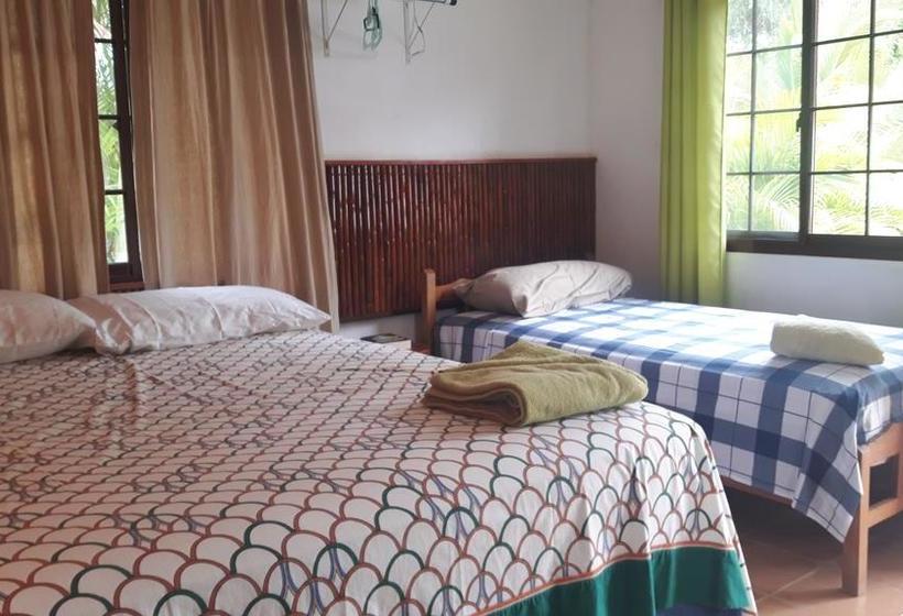 Hotel Rainforest Yasmin | Santa Fe | Veraguas | Panamá 2