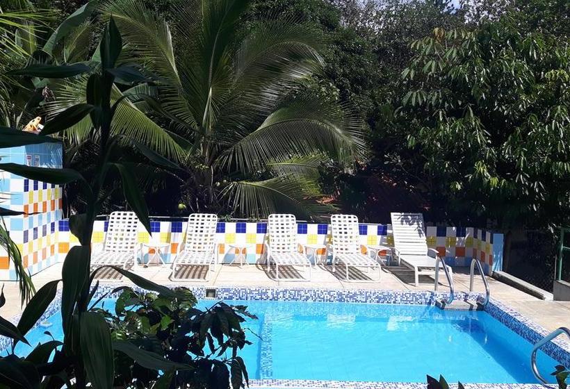 Hotel Rainforest Yasmin | Santa Fe | Veraguas | Panamá 5