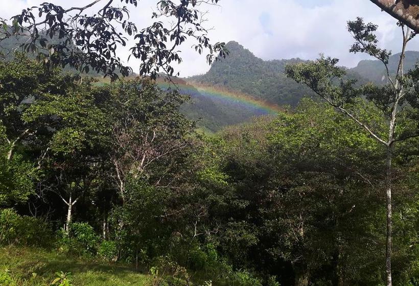 Hotel Rainforest Yasmin | Santa Fe | Veraguas | Panamá 9