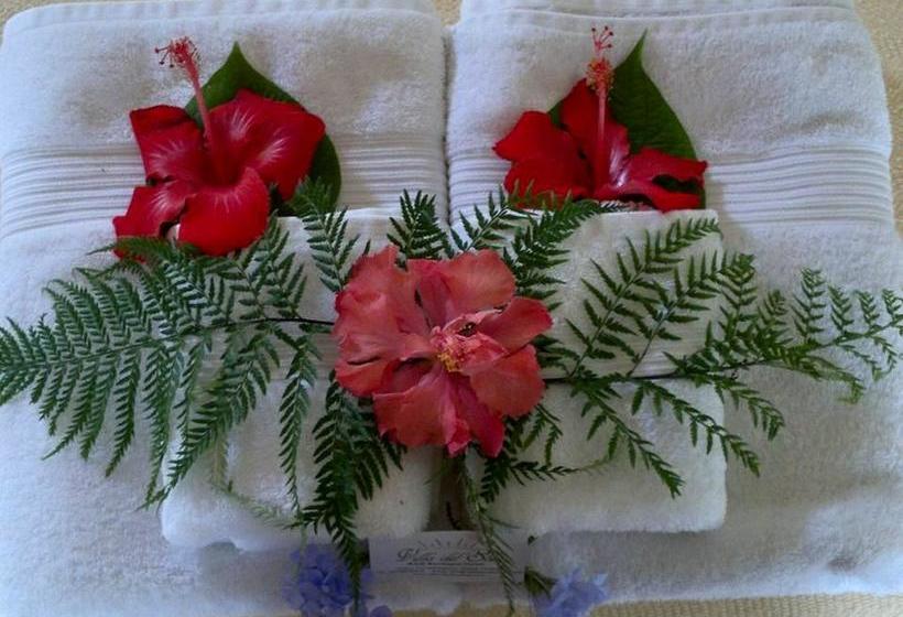 Villa Del Sol B&b Boutique | Pedasí | Los Santos | Panamá 7