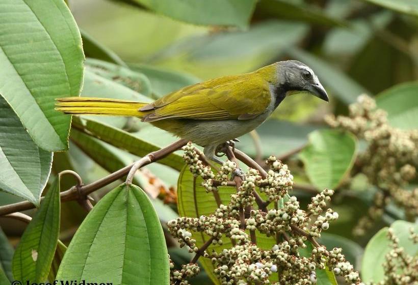 Hotel Villas At Casa Mariposa | Santa Fe | Veraguas | Panamá 20
