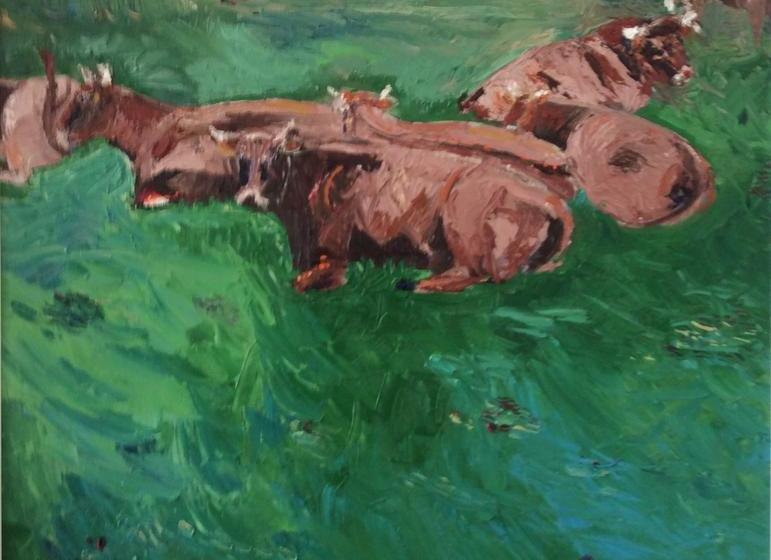 Highfield House B&b | Bettystown | Meath | Ireland 10