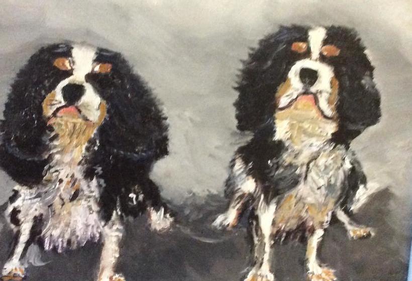 Highfield House B&b | Bettystown | Meath | Ireland 2