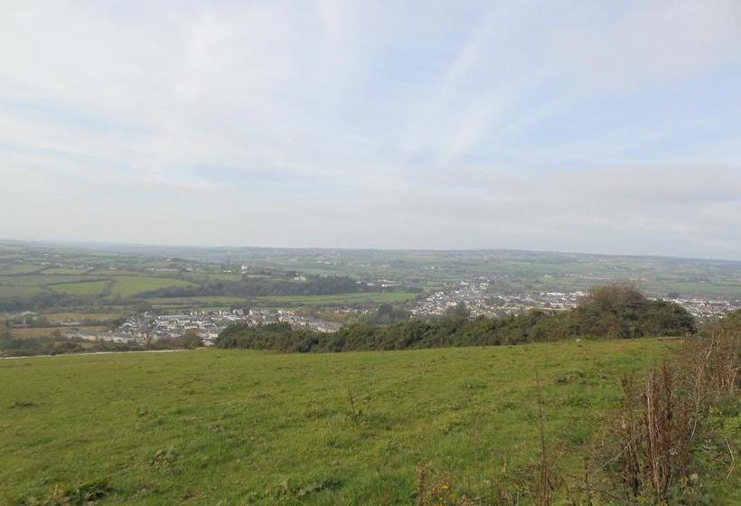 Bed and Breakfast Fitzgerald's Farmhouse Limerick