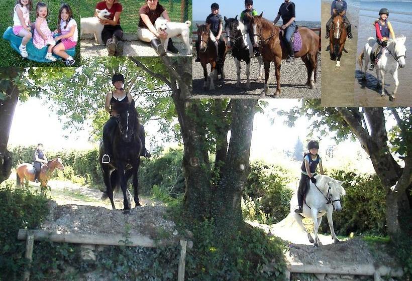 Bed and Breakfast Fitzgerald's Farmhouse | Abbeyfeale | Limerick | Ireland 1