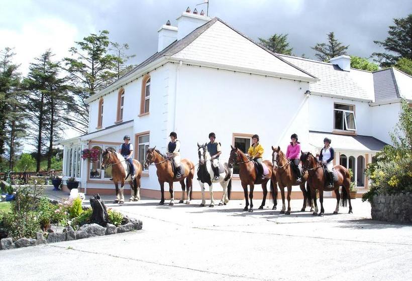 Bed and Breakfast Fitzgerald's Farmhouse | Abbeyfeale | Limerick | Ireland 5