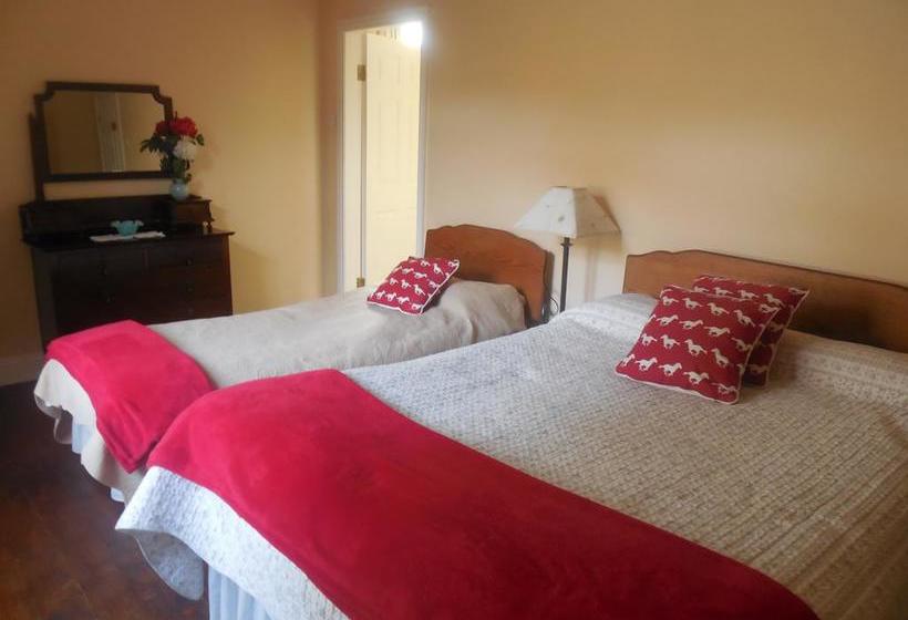 Bed and Breakfast Fitzgerald's Farmhouse | Abbeyfeale | Limerick | Ireland 6