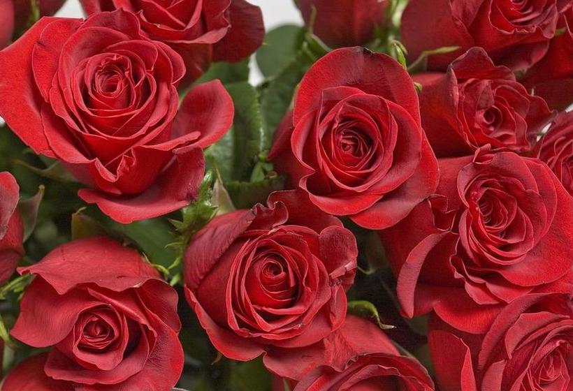 Hotel Öresund Conference & Spa | Landskrona | Skane | Sweden 5