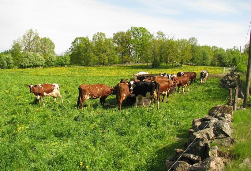 Stf Hostel Södra Ljunga | Ljungby | Kronobergs Lan | Sweden 13