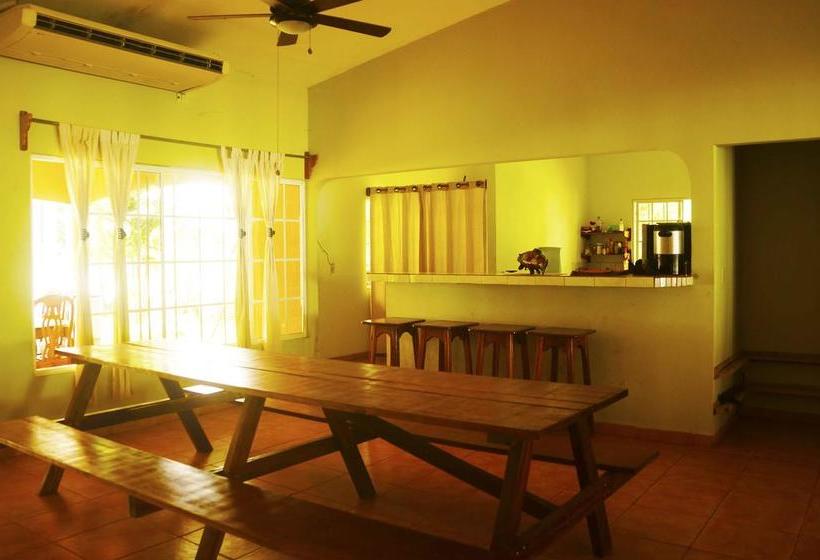 Albergue Lost Paradise | Boca Chica | Chiriquí | Panamá 10