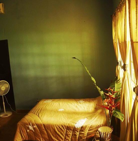 Albergue Lost Paradise | Boca Chica | Chiriquí | Panamá 15