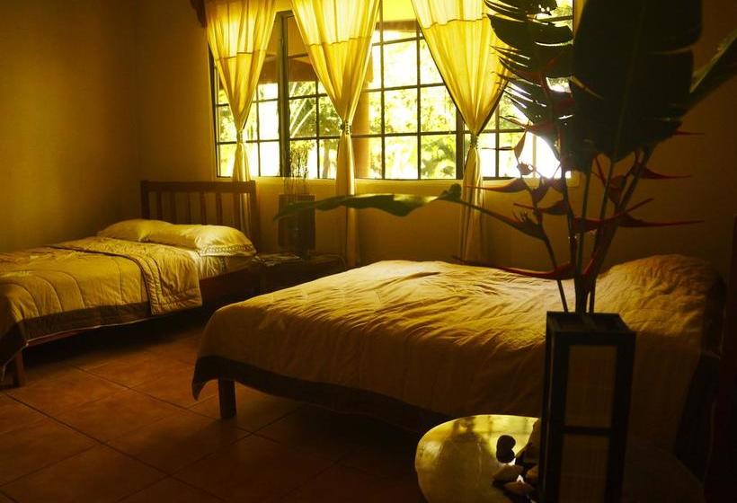 Albergue Lost Paradise | Boca Chica | Chiriquí | Panamá 16