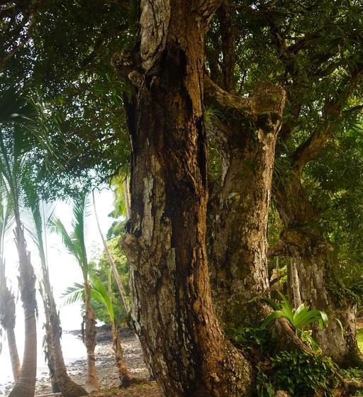 Albergue Lost Paradise | Boca Chica | Chiriquí | Panamá 17