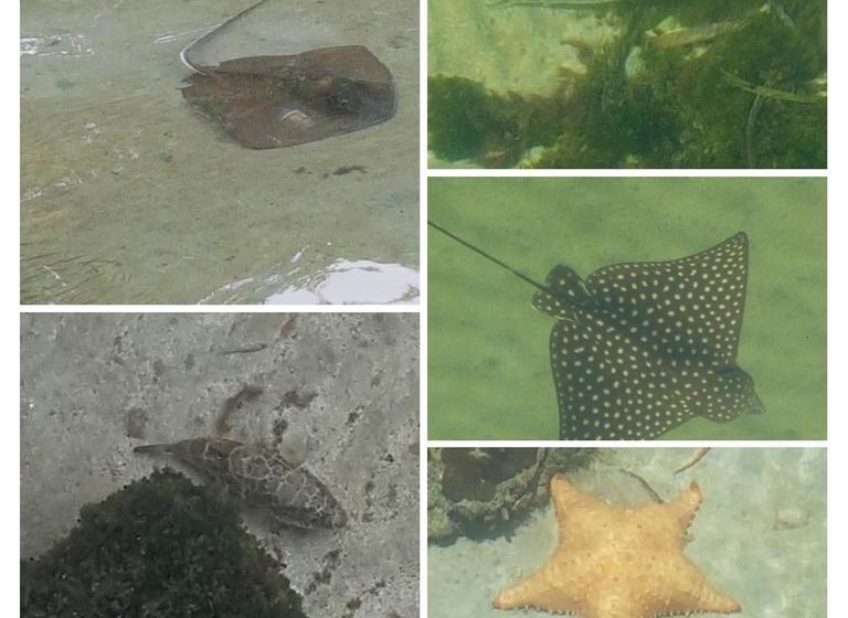 Bed and Breakfast Karma On The Water | Bocas del Toro | Bocas del Toro | Panamá 19