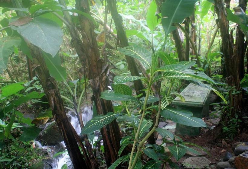 Hacienda Bed And Breakfast | Boquete | Chiriquí | Panamá 4