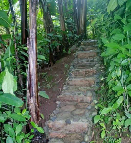 Hacienda Bed And Breakfast | Boquete | Chiriquí | Panamá 5