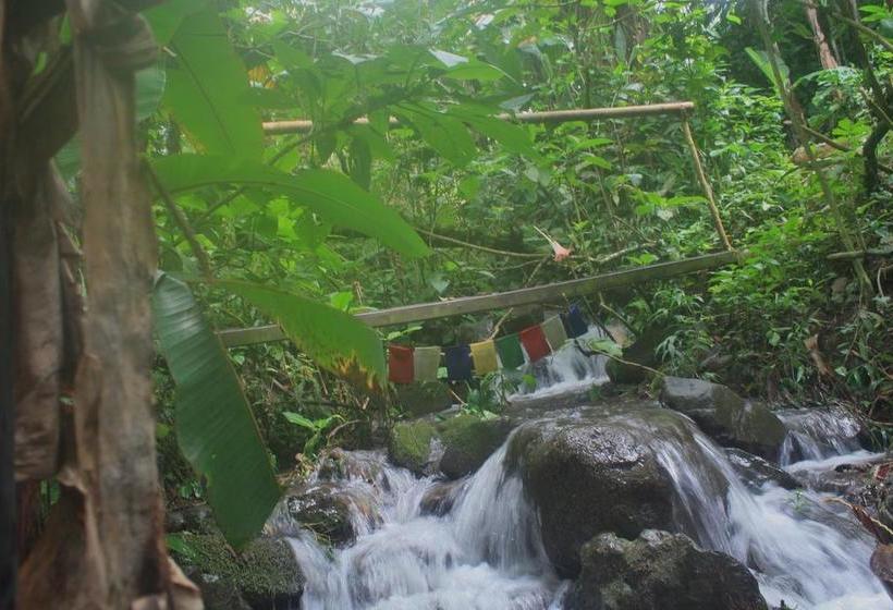 Hacienda Bed And Breakfast | Boquete | Chiriquí | Panamá 6