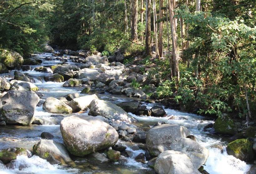 Hotel La Serrania | Boquete | Chiriquí | Panamá 16