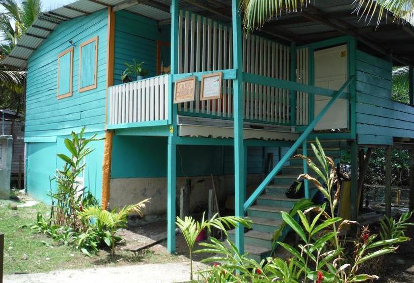 Albergue Casa Cenobia | Bocas del Toro | Bocas del Toro | Panamá 10