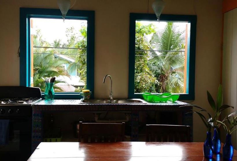 Albergue Casa Cenobia | Bocas del Toro | Bocas del Toro | Panamá 11