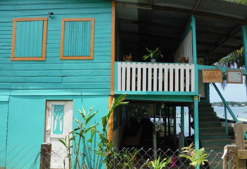 Albergue Casa Cenobia | Bocas del Toro | Bocas del Toro | Panamá 13