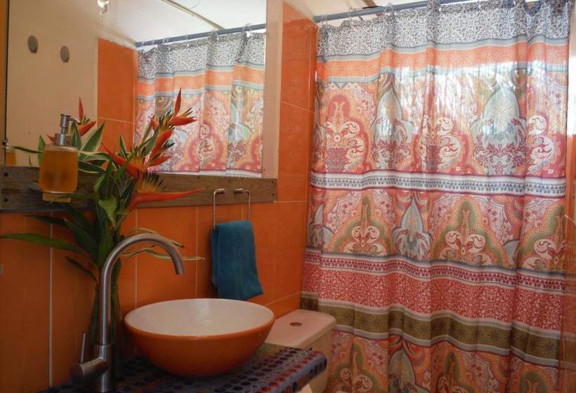 Albergue Casa Cenobia | Bocas del Toro | Bocas del Toro | Panamá 2